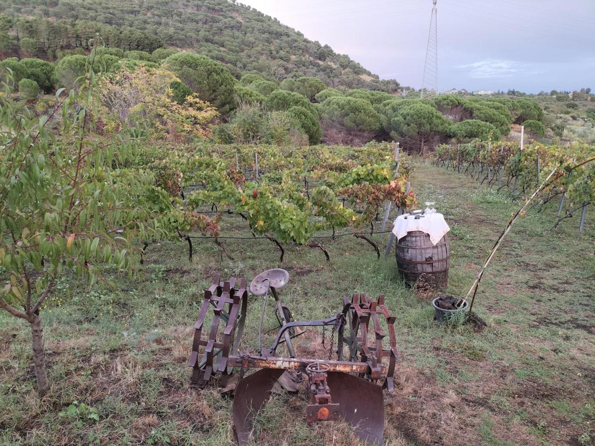 فيلا Etnasentieri Wine House On Etna Mount بيلباسو المظهر الخارجي الصورة